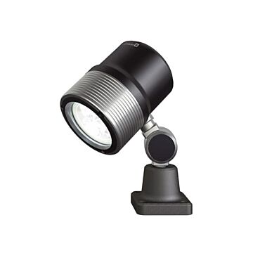 Gelenkkopfleuchte Waldmann ROCIA.focus
